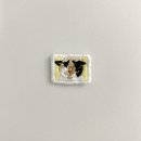 악마푸드 | 11/1 ~ 11/17