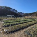 진해농장 이미지