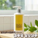 메디칼팜 | 셀투덤 탈모샴푸 추천｜40대 남성 두피케어 사용후기