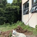 온게스트하우스 | [제주 제주시] 구좌 세화 가성비 숙소 ‘세화온게스트하우스’ 내돈내산 후기