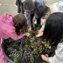 병점초등학교 이미지