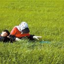 중앙프레임