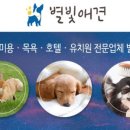 별빛 애견호텔 이미지