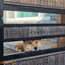 화순환승정류장 이미지