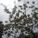 솔안공원 앞