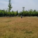 파크골프아카데미 이미지