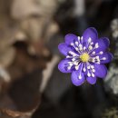 화암사 가는길 이미지