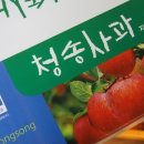 청송사과 - 수원시 장안구 경수대로878번길 12 | 청송사과