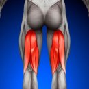 경희이촌한의원 이미지