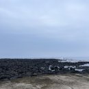 우도바당별 이미지