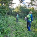 서면행정복지센터 이미지