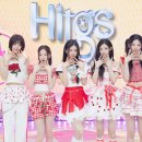 힛지스 카카오 검색결과