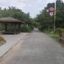 영마루공원 게이트볼장 이미지