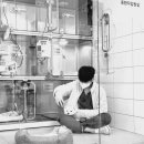 광교호수 동물병원 이미지