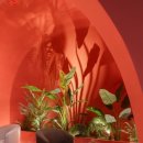 엘디스리젠트호텔 이미지