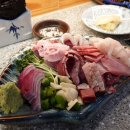 대구횟집 | 대구방어맛집 뱃머리횟집 동대구 횟집 대방어 후기