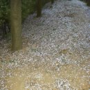 과림 낚시터 이미지