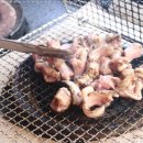 참곰장어 이미지