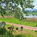 이팝나무길 이미지