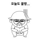 완도네시아 이미지