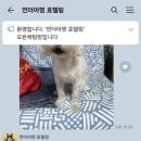 언더아멍