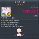 보물 PC방 | 메이플 캐시 ▶ 티타임 화이트 바니 | 컬러링 프리즘 프로 공유 | 해달의 보물 후기