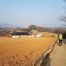 백1리경로당 이미지