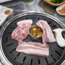 소돈소돈 이미지