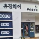 유진카크리닉 | 해운대 유진헤어 뿌리볼륨펌