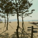 보성부동산공인중개사사무소 이미지