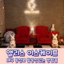주식회사 선우쇼핑 현풍점 | 대구 시내 놀거리 동성로 방탈출 앨리스 이스케이프