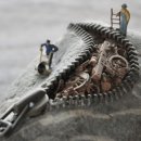 신기방기 이미지