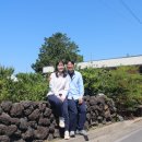 빌라노하마다 이미지