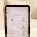 공감소통영어 링컨 | 화상영어 왕초보도 효과 있을까? 4회차 수업 솔직 후기