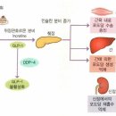 짐쉐이프 이미지