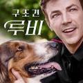 위캔두잇주 이미지