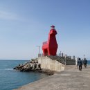 하니랜드수영장(실외) 이미지