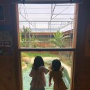 뉴질랜드 한국전 참 | 뉴질랜드 북섬 가족여행 코스 추천