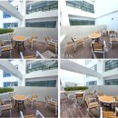 메타플렉스 이미지