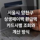 간성주유소 | 서울시 양천구, 상생페이백 환급액 카드사별 조회와 계산 방식