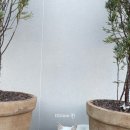 석교리 120 이미지