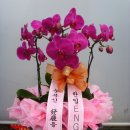 태광ENG