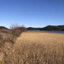 죽정습지 이미지