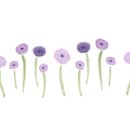 대유카센타 이미지