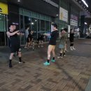 크로스핏 핏불 이미지