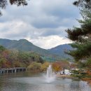 황금밥상 이미지