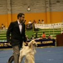 강서구-88 이미지