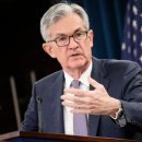 비둘기밧데리 이미지