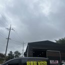 119랩스