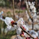 고절농장 이미지